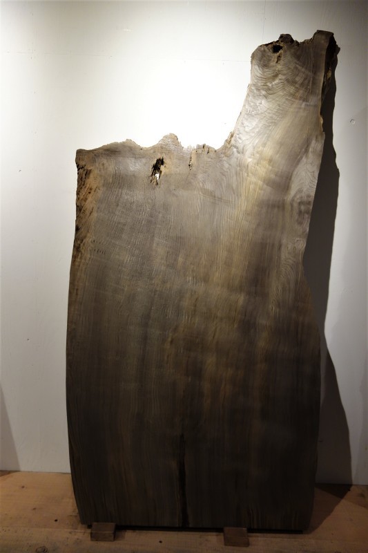 神代杉 柾目 一枚板 - 新発田屋 木材倉庫