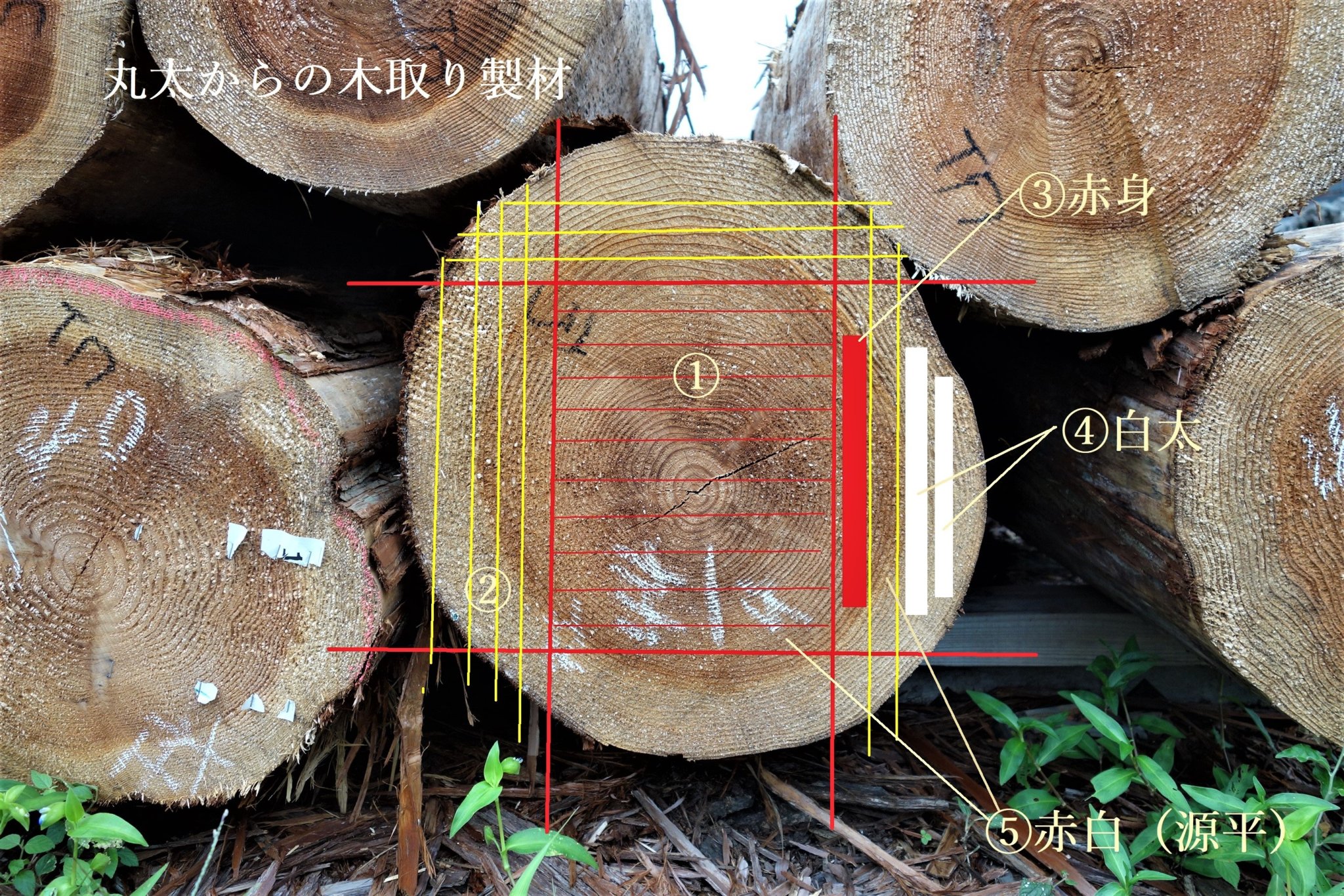 現在の杉丸太製材のメニュー - 新発田屋 木材倉庫