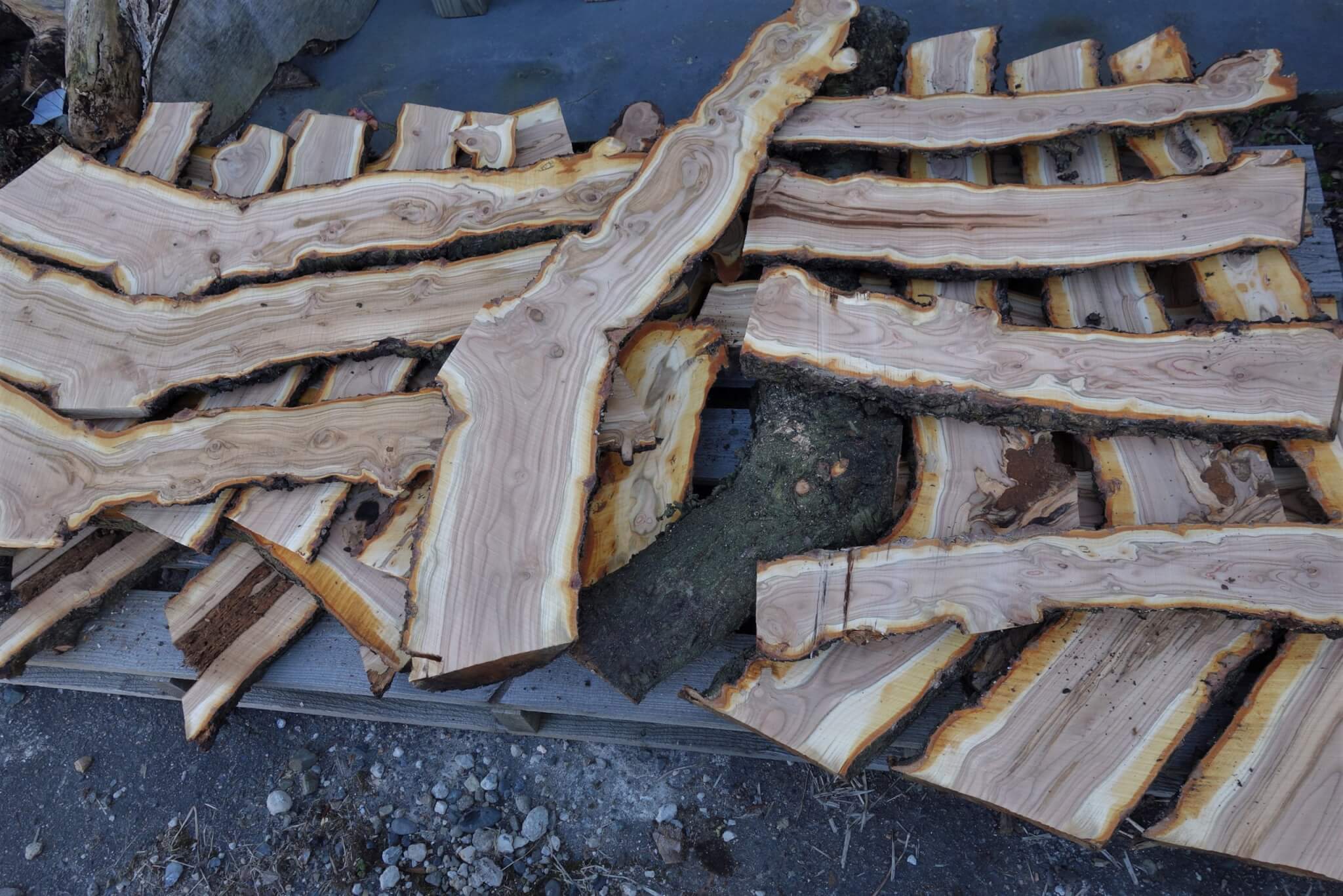 珍しい 木工、竹工芸 流木 銘木 一枚板 飾り台 敷台 材木 無垢材 特大