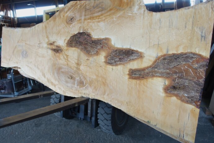 12月中に購入の方　一枚板 新発田屋 木材倉庫 お知らせ -